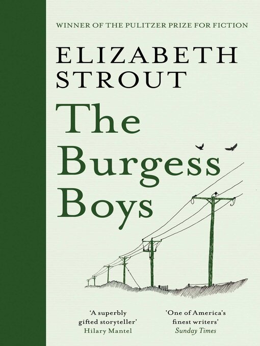 Couverture de The Burgess Boys